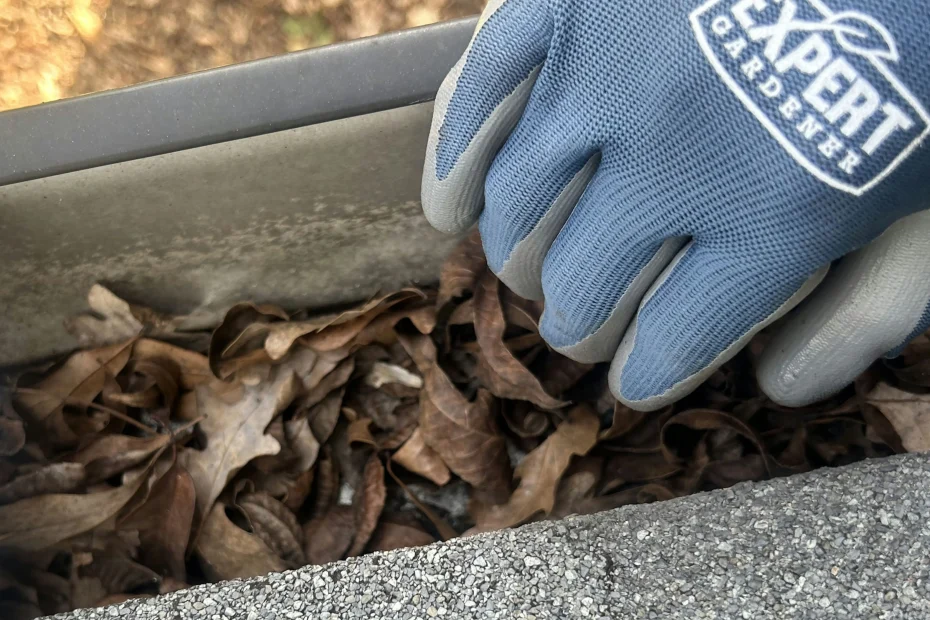 Gutter Cleaning Laurel