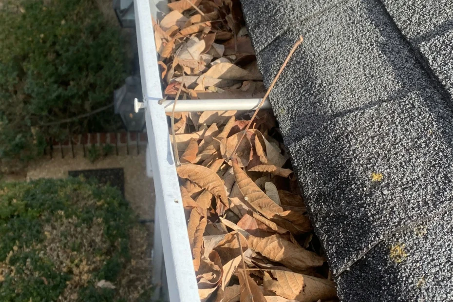 Gutter Cleaning Laurel