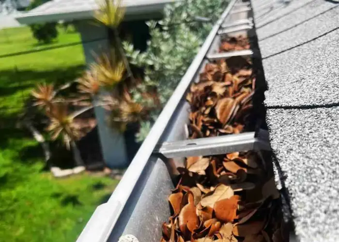 Gutter Cleaning Laurel home page